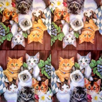 114 Cats - 3-ply